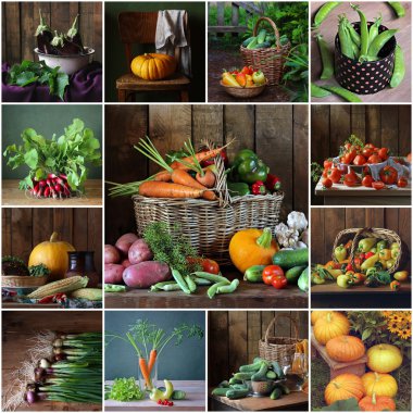 Collage from still lifes with vegetables. Vegetable background. clipart