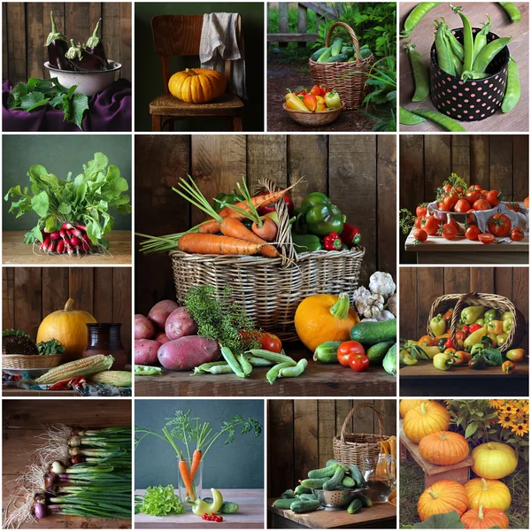 Kollázs a csendéletek zöldségekkel. Növényi háttér. — Stock Fotó