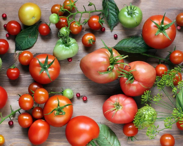 Tomates rojos maduros . — Foto de Stock