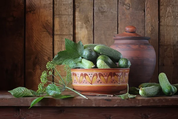 Bodegón con pepinos . —  Fotos de Stock