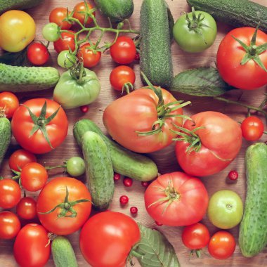 Domates ve salatalık, üstten görünüm.