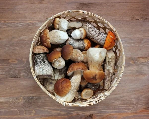 Korb mit Pilzen, die Ansicht von oben. Tischstillleben. Steinpilze — Stockfoto