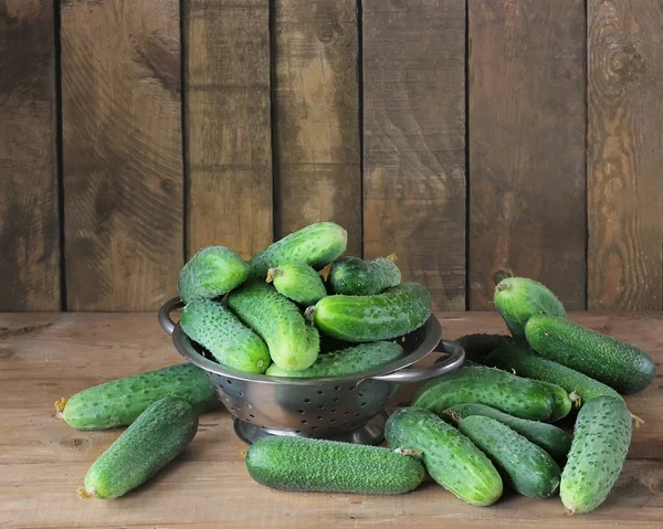 Cucumbers in a colander — Stock Photo, Image