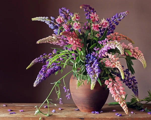 Stillleben mit einem Strauß Lupinen. — Stockfoto