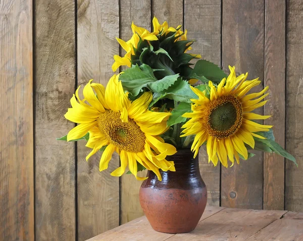 Bodegón con un ramo. Girasoles . — Foto de Stock