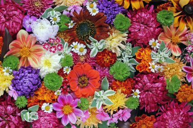 Çiçek arka plan. Ekili çiçekler bir arka plan.