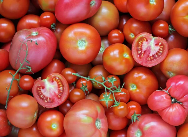 Tło z pomidorów. Dojrzałe pomidory czerwone. — Zdjęcie stockowe