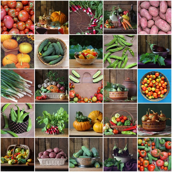 Collage da nature morte con verdure. Contesto vegetale . — Foto Stock