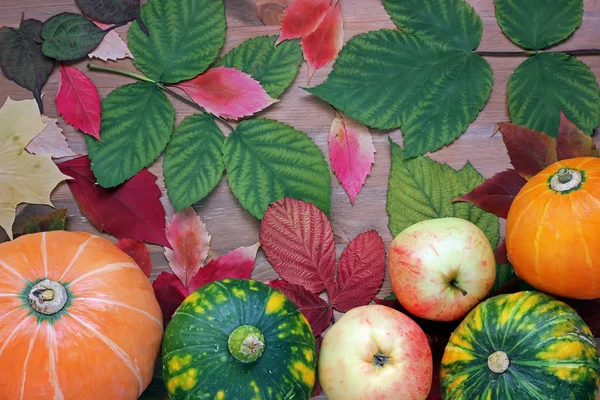 Hintergrund mit Herbstblättern, Kürbissen und Äpfeln. — Stockfoto