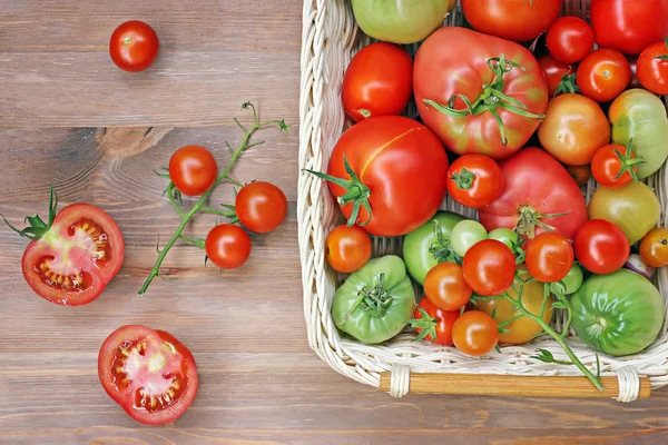 Tomater av olika grad av mognad på ett bord i ett baske — Stockfoto