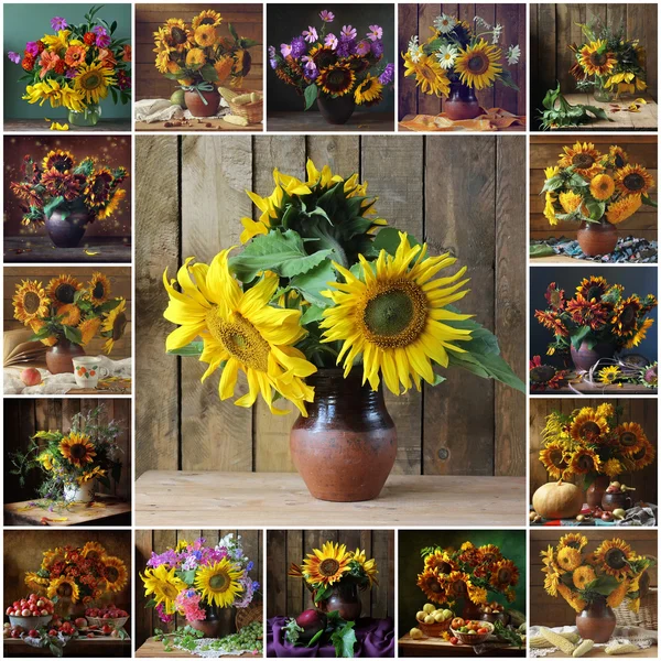 Collage aus Stillleben mit Sonnenblumen. — Stockfoto