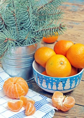 Yeni yıl natürmort mandalina ve köknar ağacı dalları ile.