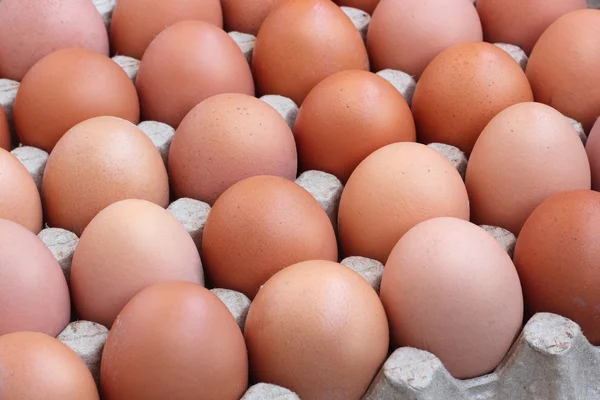 Tavuk kahverengi yumurta paket, üstten görünüm. 