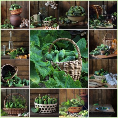 Collage from still lifes with cucumbers. clipart