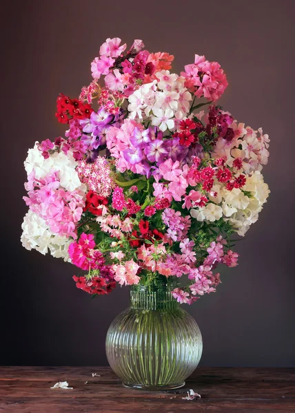 Bouquet from phloxes in a transparent jug. — Stock Photo, Image