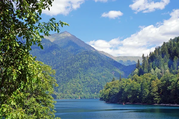 Abhazya 'daki dağlarda Ritsa Gölü.