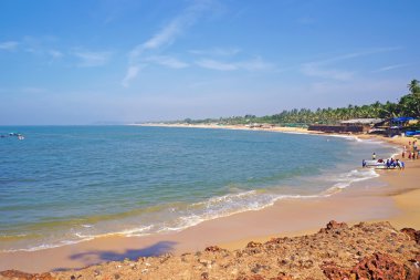 Palmiye ağaçları ile Hindistan'da bir okyanus kıyısındaki Beach