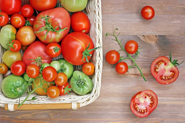 Tomater av olika grad av mognad på ett bord i ett baske — Stockfoto