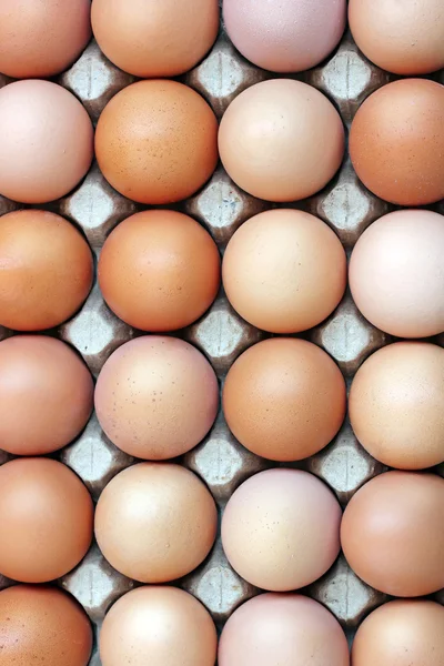 Uova marroni di pollo in un vassoio, la vista dall'alto . — Foto Stock