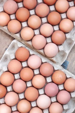 Bir tepsi içinde taze tavuk kahverengi yumurta. Gıda.