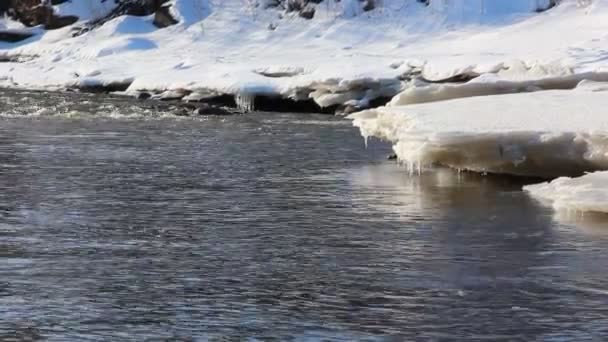 Весняний струмок з брудною водою — стокове відео