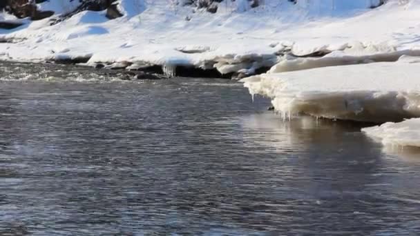 Våren strömmen med grumligt vatten — Stockvideo