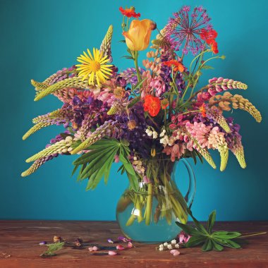 Natürmort ile mavi bir arka plan üzerinde lupines.