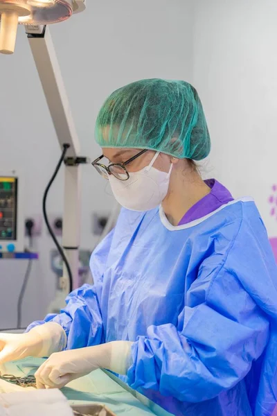 Veteriner tüm aletleri ameliyat için hazırlıyor.