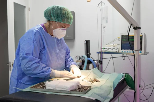 Veterinarian Preparing All Instruments Operation — Stock Photo, Image