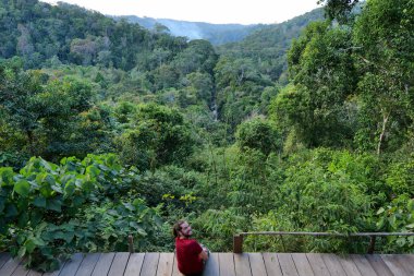 Kamboçya orman doğasının önünde oturan kişi.