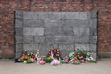 Polonya 'da Auschwitz-Birkenau toplama kampı