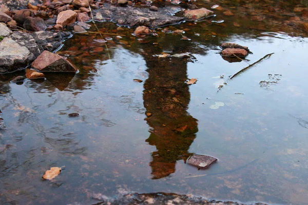 Silhouette and reflection of a person in the water