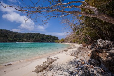 Tropicana 'da berrak gökyüzünün altında beyaz kumsal