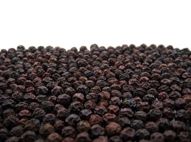 Kara biber arka plan