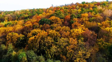 Ukrayna 'nın doğasının güzel manzarası, kuş bakışı.