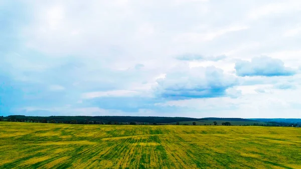Ukrayna 'nın doğasının güzel manzarası, kuş bakışı.