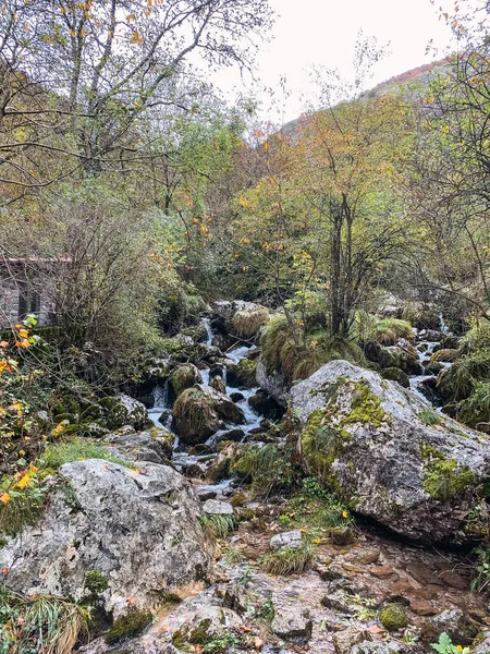 Pequeño Arroyo Fluvial Que Corre Por Algunas Rocas — Foto de Stock