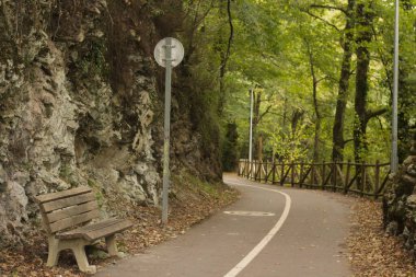 Parktaki eski köprü ve bisiklet yolu.