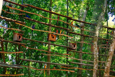 Parque das aves, Brezilya 'da egzotik renkli papağanlar
