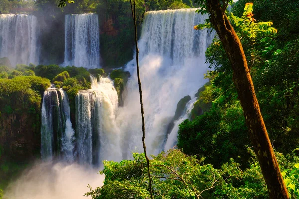 Iguaçu Cai Uma Tarde Verão — Fotografia de Stock