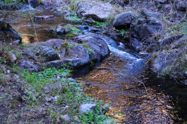 Kristal dağ suyundan oluşan küçük bir akıntıya yakından bak. Villa General Belgrano, Cordoba, Arjantin yakınlarında yer alıyor..