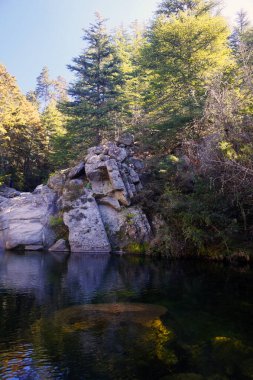 Kristal berrak suyu olan küçük bir gölet. Çevresi yeşil ağaçlarla ve birkaç kayalık alanla çevrili. La Cumbrecita, Cordoba