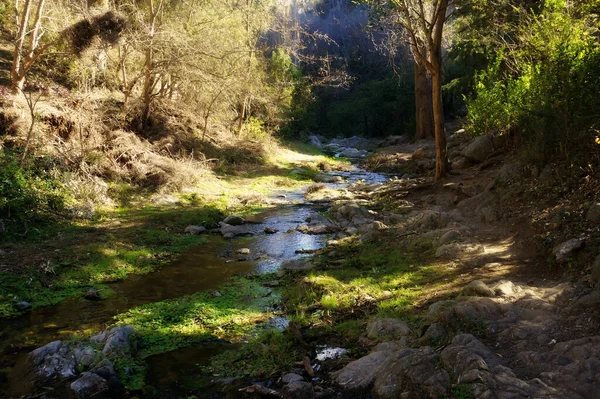 Una Estrecha Corriente Agua Cristalina Montaña Que Atraviesa Bosque Villa — Foto de Stock