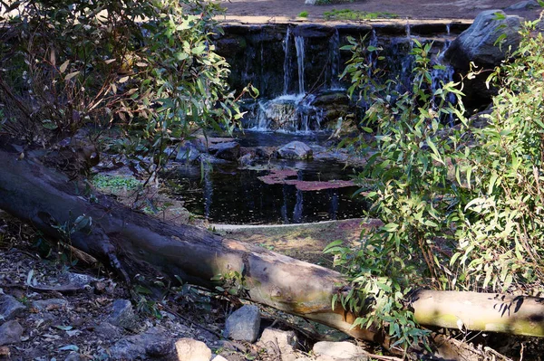 Pequeño Estanque Aguas Cristalinas Montaña Ubicado Villa General Belgrano Córdoba — Foto de Stock