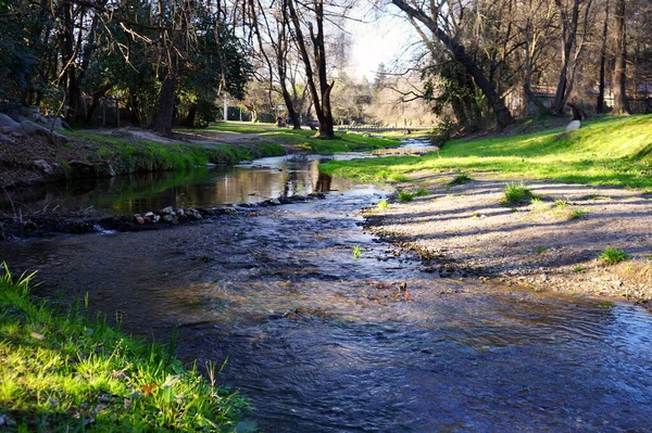 Küçük dere büyük kayaları ve yeşil bir ormanı kuşattı. Villa General Belgrano, Cordoba, Arjantin