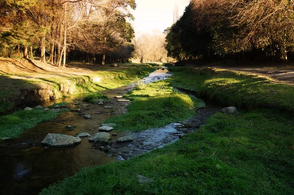 Pequeña Corriente Agua Cristalina Montaña Situado Villa General Belgrano Córdoba — Foto de Stock