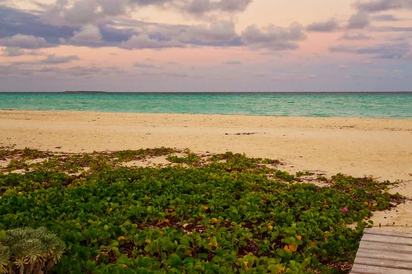 热带库班海滩的景观 在温暖的下午拍的 — 图库照片