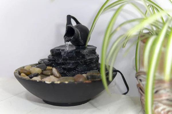 Fontaine Eau Zen Sur Fond Blanc Côté Une Plante Verte — Photo