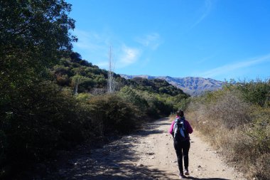  Ağaçlarla çevrili soğuk bir sabah yürüyüşü. Villa de Merlo yakınlarında, San Luis, Arjantin    