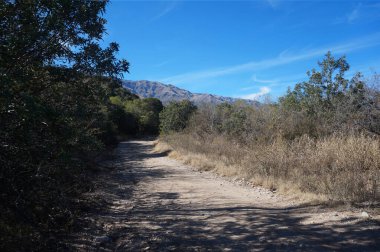 Arka planda birkaç dağ olan ağaçlarla çevrili tozlu bir yol. Fotoğraf Villa de Merlo yakınlarında çekildi, San Luis, Arjantin                               